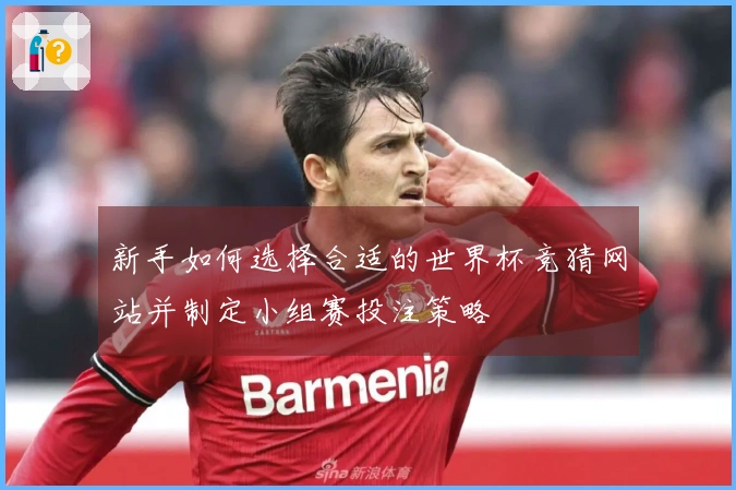 新手如何选择合适的世界杯竞猜网站并制定小组赛投注策略